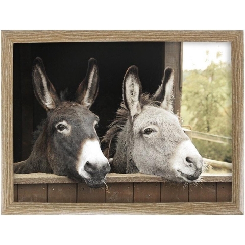 Mars & More Schootkussen Laptray - ezels print - laptray - 43 x 33 cm - Dienblad -