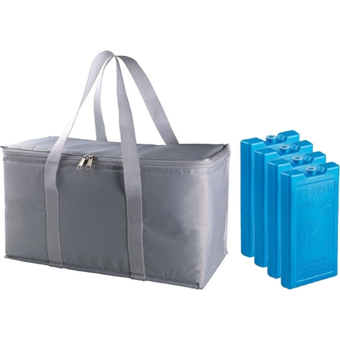 Grote koeltas zilver/grijs 39 x 22 x 19 cm met 4x stuks koelelementen -