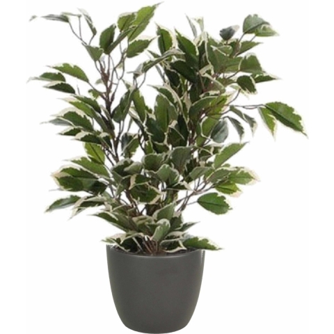 Groen/witte ficus kunstplant 40 cm met plantenpot mat antraciet grijs D13.5 en H12.5 cm -