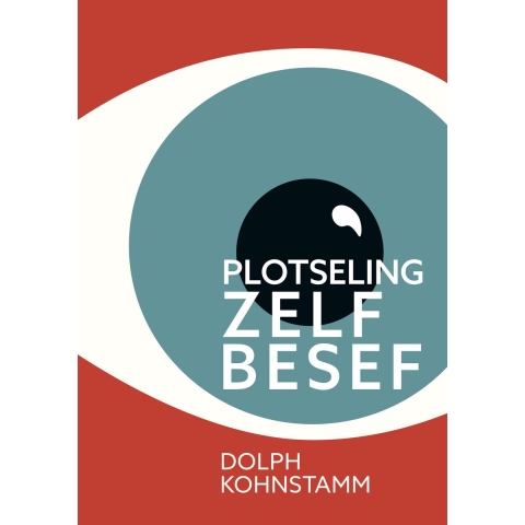 Plotseling zelfbesef (Paperback)