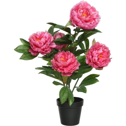 Roze Paeonia/pioenroos - rozenstruik - kunstplant - 57 cm -