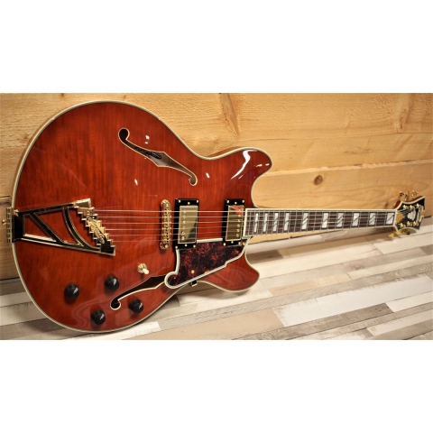 D'angelico Excel DC Viola