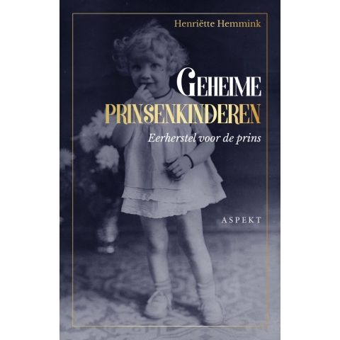Geheime prinsenkinderen (Paperback)