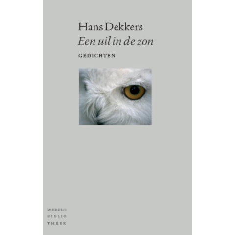 Een uil in de zon (Paperback)