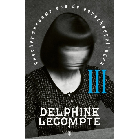 Beschermvrouwe van de verschoppelingen (Paperback)