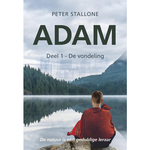 De vondeling (Paperback)