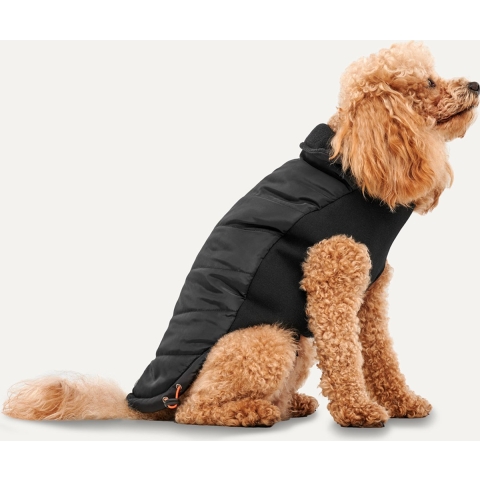 Gooeez Mock Neck Signature Jacket S Black"Black