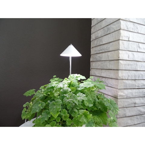 Parus iSun paraplu kweeklamp 10w wit - Btt