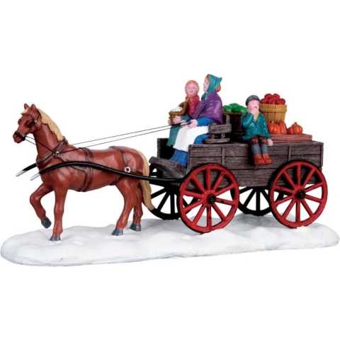 Trachelospermum jasminoides 180 cm - Quickhedge