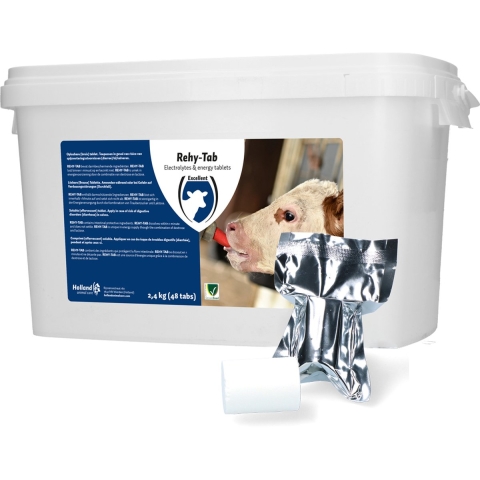 Rehy-Tab Plus (Bruistablet diarree) 48 tabl