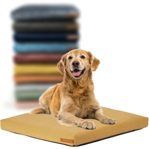 Rexproduct Hondenkussen Pethome, yellow, Maat: L
