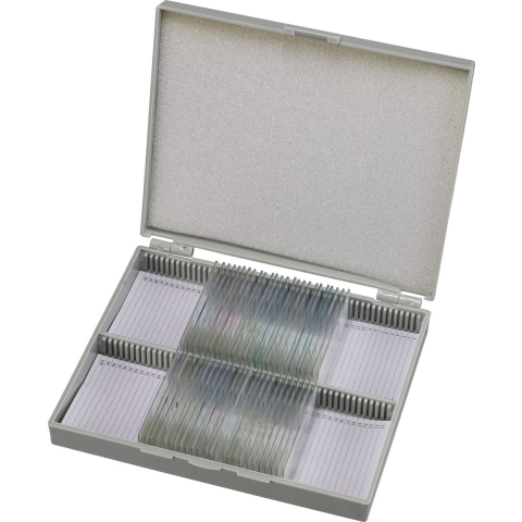 BRESSER Microscoop preparaten 30 stuks - Histologie