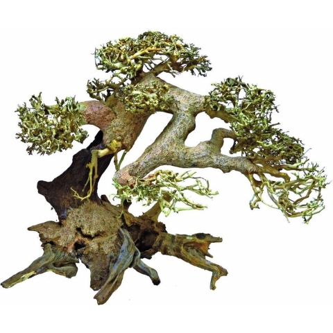 Bonsai Driftwood L aquaria - Superfish