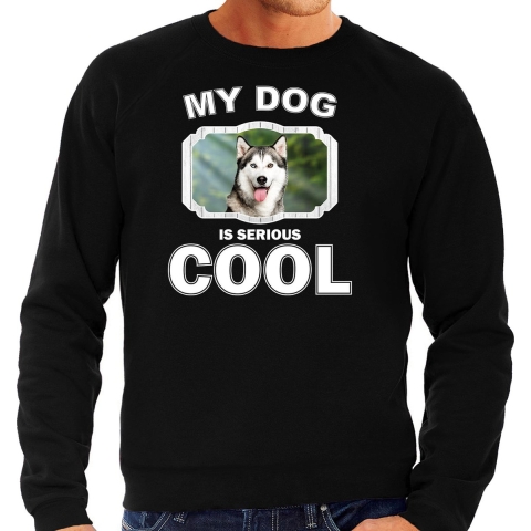 Husky honden sweater / trui my dog is serious cool zwart voor heren L -