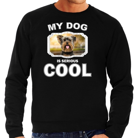Yorkshire terrier honden sweater / trui my dog is serious cool zwart voor heren L -