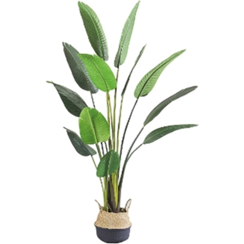 Kunstplant Blad Strelitzia Soft 160 cm - Buitengewoon de boet