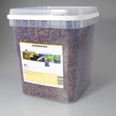 Zijderupsen 10 mm 10 liter - Suren collection