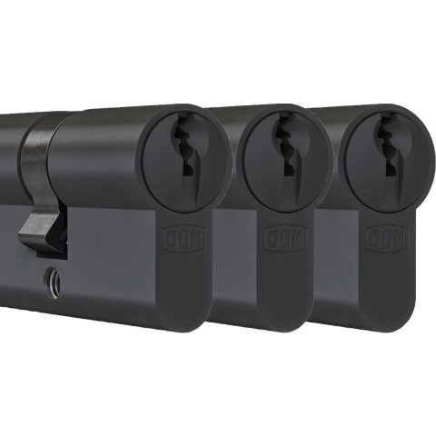 DOM Zwarte profielcilinder Plura 30/30mm - SKG 3 sterren - 3 gelijksluitende cilinders
