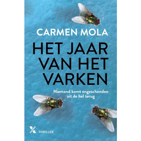 Het jaar van het varken (Paperback)