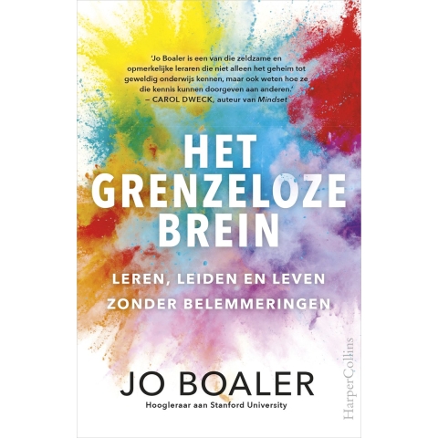 Het grenzeloze brein (Paperback)