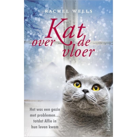 Kat over de vloer (Paperback)