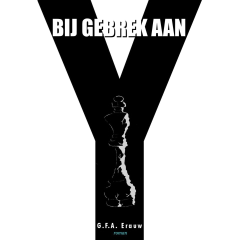 Bij gebrek aan Y (Paperback)