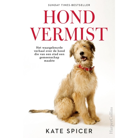 Hond vermist (Paperback)