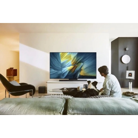 Samsung OLED 4K QE65S95F TV (2025)