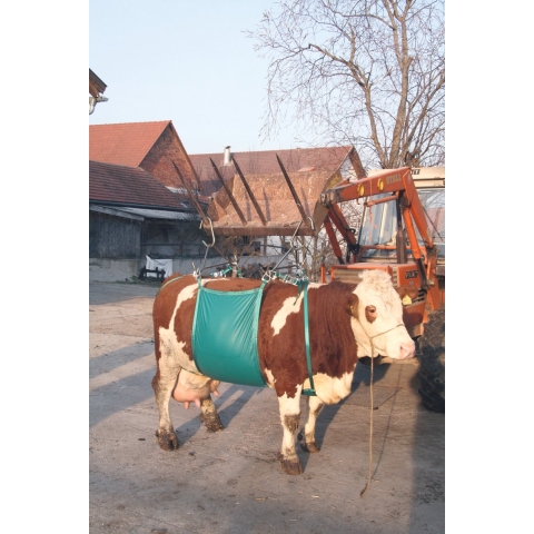 Koelifter
