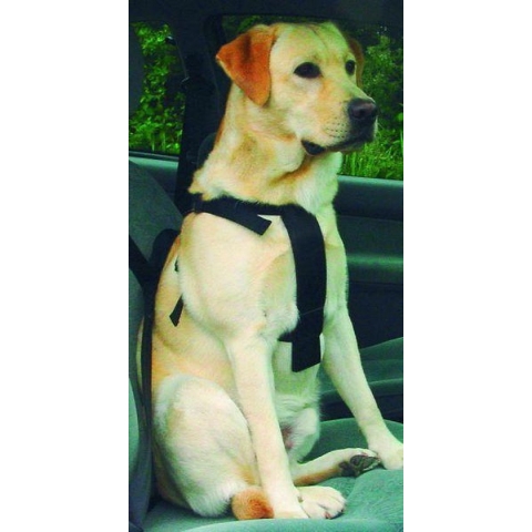 Beeztees Wandel- en Autogordel - Hondentuig - L