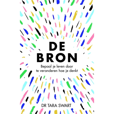 De bron (Paperback)