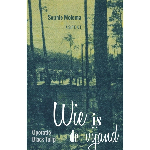 Wie is de vijand (Paperback)