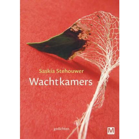 Wachtkamers (Paperback)
