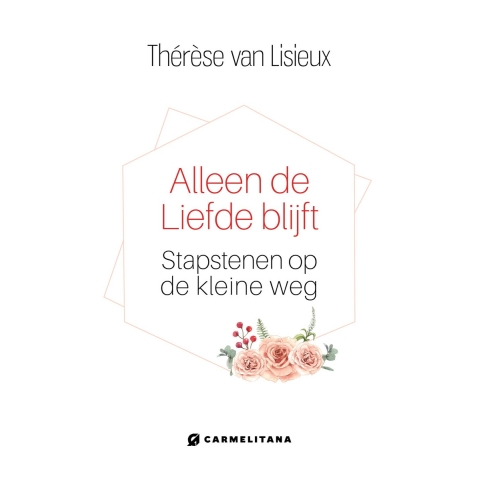 Alleen de liefde blijft (Hardback)