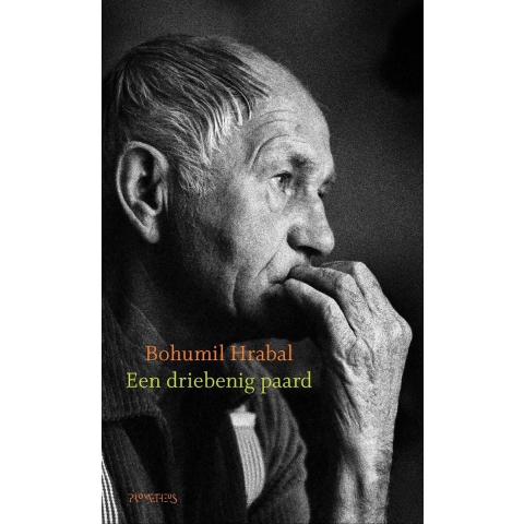 Een driebenig paard (Paperback)