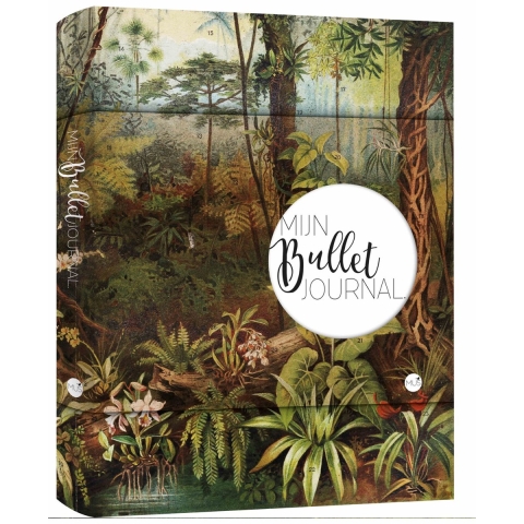 Mijn Bullet Journal (Paperback)