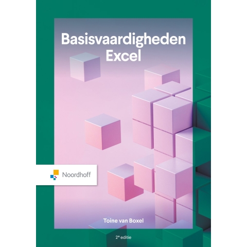 Basisvaardigheden Excel (Paperback)