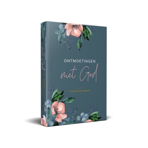 Ontmoetingen met God (Hardback)
