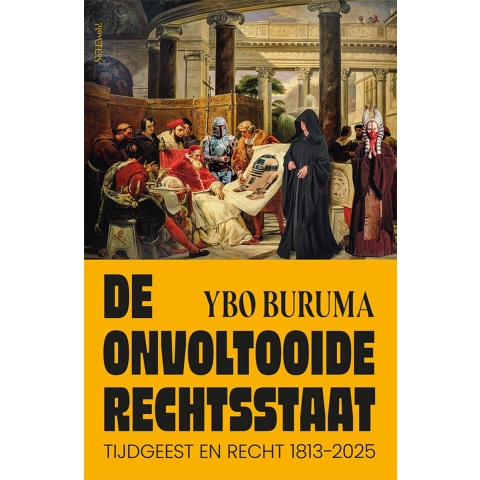De onvoltooide rechtsstaat (Hardback)