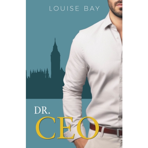 Dr CEO (Paperback)