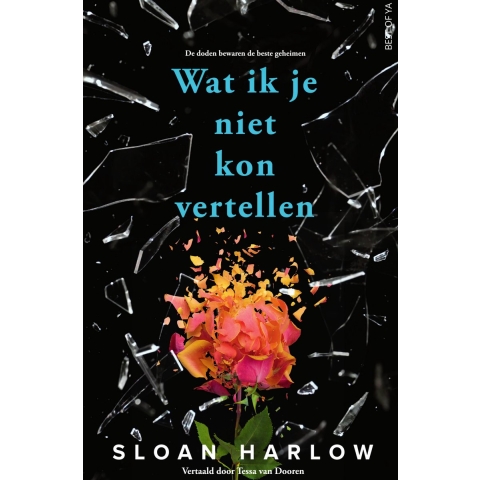 Wat ik je niet kon vertellen (Paperback)