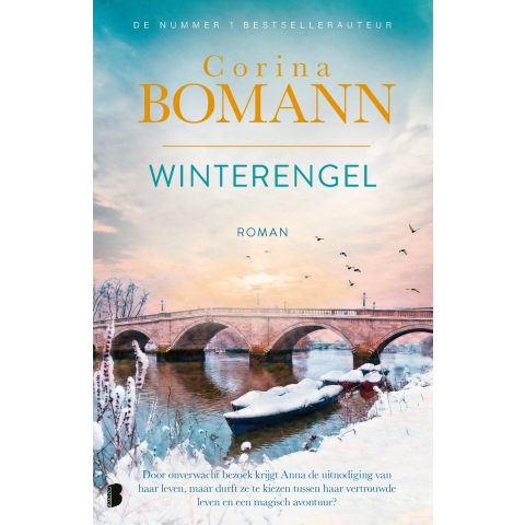 Winterengel (Paperback)