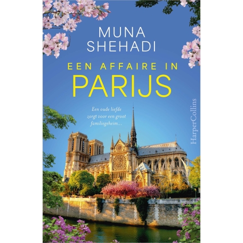 Een affaire in Parijs (Paperback)