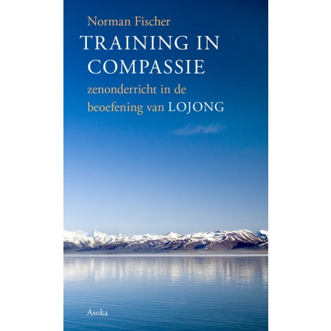 Training in compassie (Paperback)
