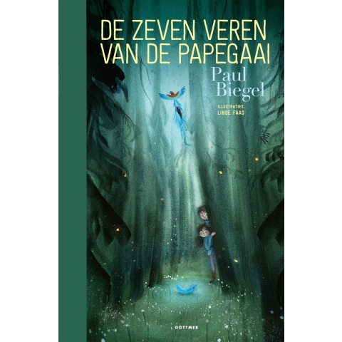De zeven veren van de papegaai (Hardback)