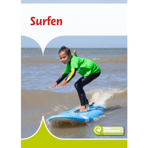 Surfen (Hardback)
