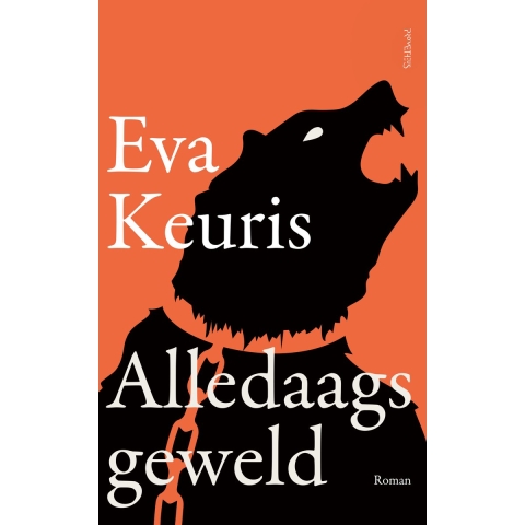 Alledaags geweld (Paperback)