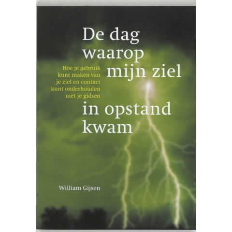 De dag waarop mijn ziel in opstand kwam (Paperback)
