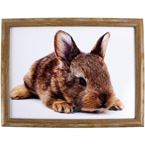 Schootkussen/laptray konijn print 43 x 33 cm -