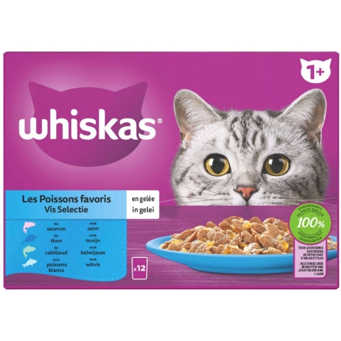 Whiskas 1+ Vis Selectie in Gelei Maaltijdzakjes Multipack 24 x 85 gr